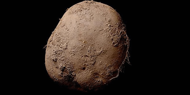 Bu patates 1 milyon dolar!