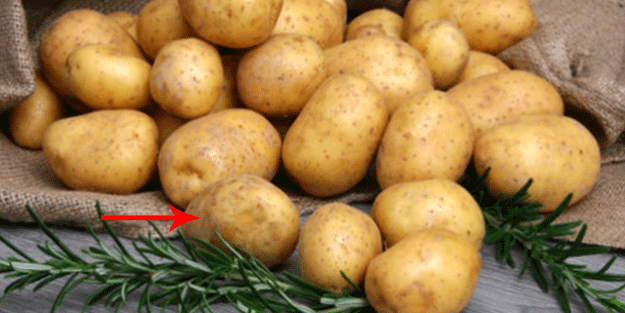 Bu patatesleri sakın ama sakın yemeyin! Anne karnındaki bebeği bile etkiliyor