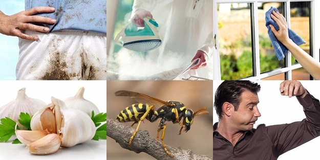 Bu pratik bilgiler hayat değiştiriyor - FOTO