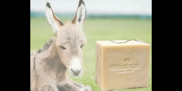 Bu sabunun faydaları inanılmaz! Eşek sütü kapış kapış...