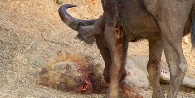 Bu savaş tam bir saat sürdü!