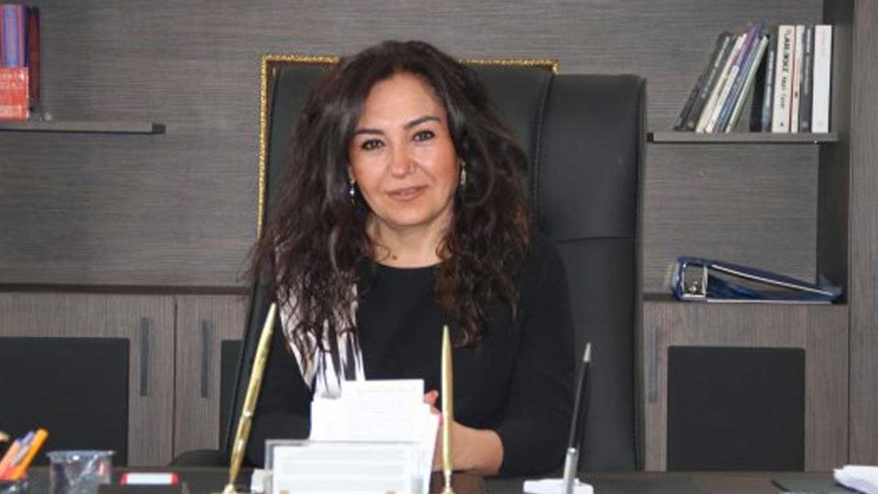 Bu sefer DEM, kendisi kayyım atadı!