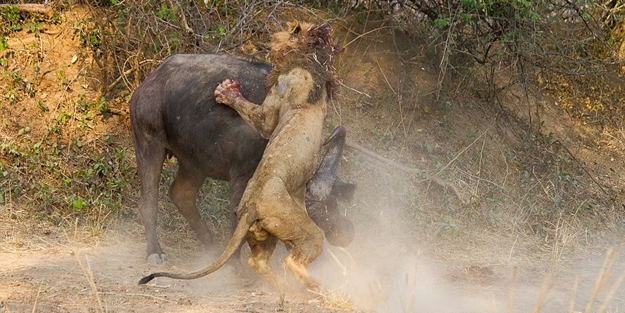 Bu sefer hiçbir şey göründüğü gibi değil