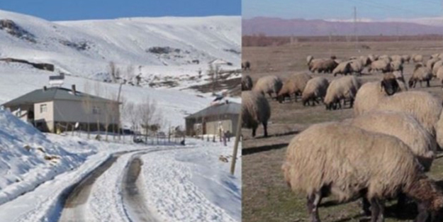 Bu şehrin bir yanı kış bir yanı yaz!