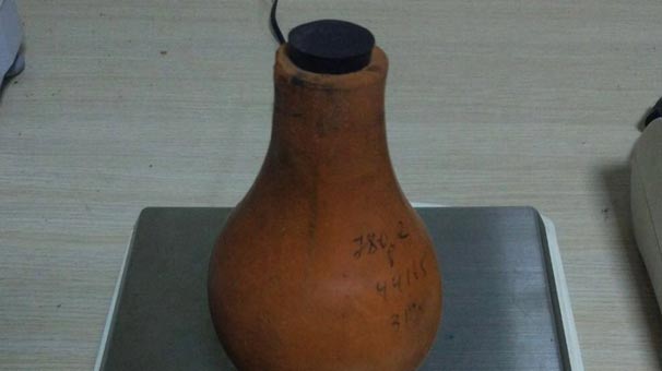 Bu şekilde ele geçirildi! Fiyatı dudak uçuklattı...