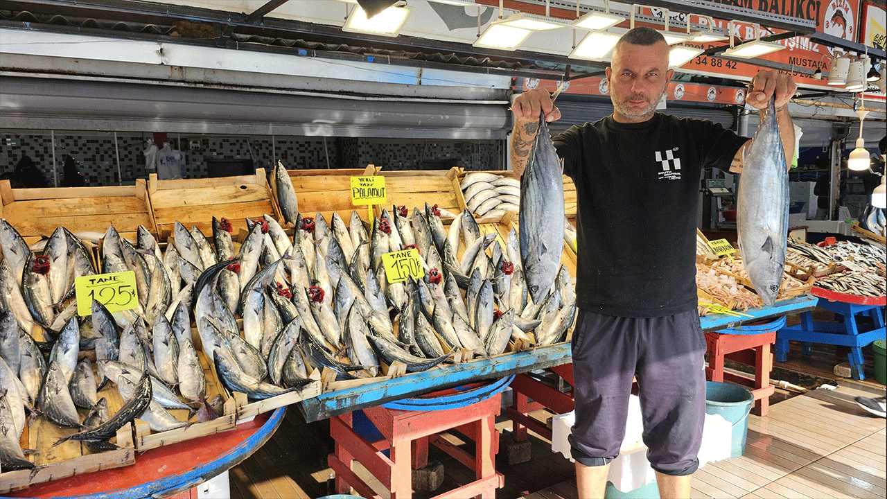 Bu sene palamutlar bereketli