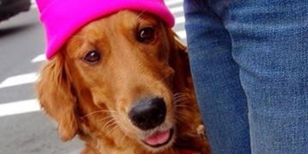 Bu sevimli köpeğin ilginç bir takıntısı var!