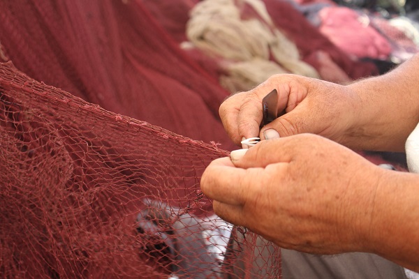  “Bu sezon hamsi yılı olacak”