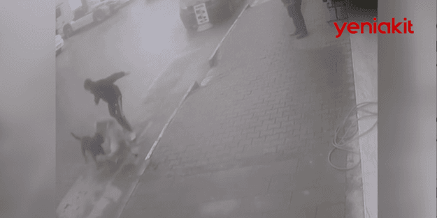 Köpeğine saldıran sokak köpeğini bıçakladı!