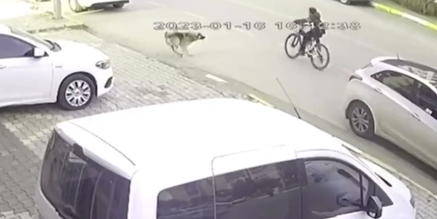 Bu sorunun çözülmesi için daha kaç çocuk ölmeli?