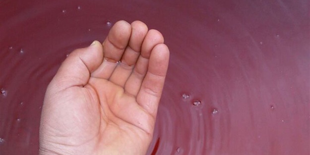 Bu sudan içebilmek için sıraya giriyorlar