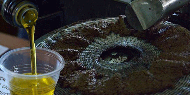 Bu sütün litresi 30 TL