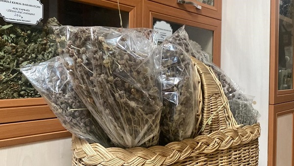 Bu tarifi not alın! İşte bağışıklığı güçlendiren o çay