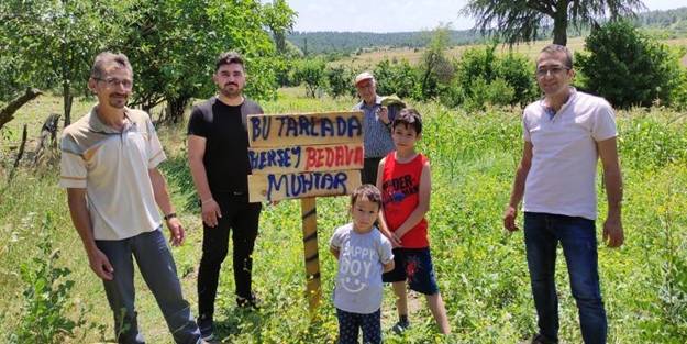 Bu tarladaki her şey bedava! 25 yaşındaki muhtarın inanılmaz başarısı