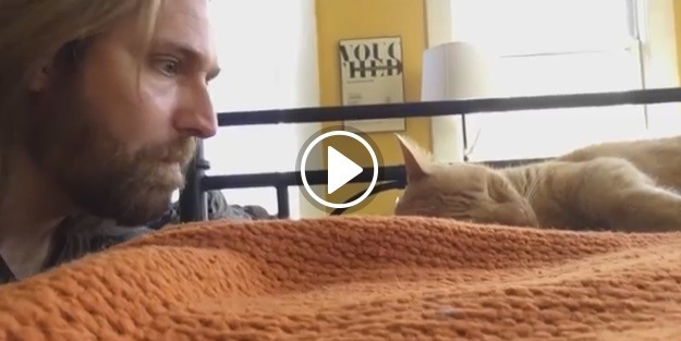 Bu tatlı intikam sosyal medyada rekor kırdı!