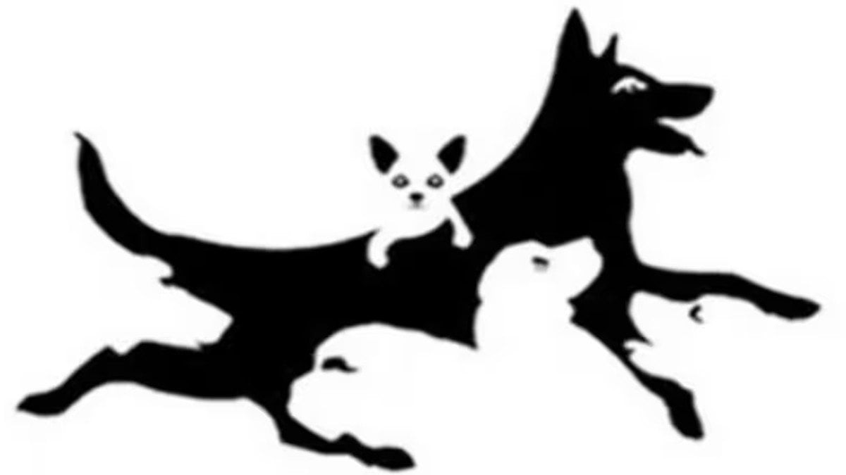 Bu test zihinsel yaşınızı ortaya çıkaracak!