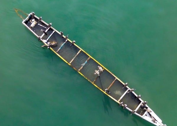 Bu ülkede 53 bin kişi balıkçılıktan geçim sağlıyor