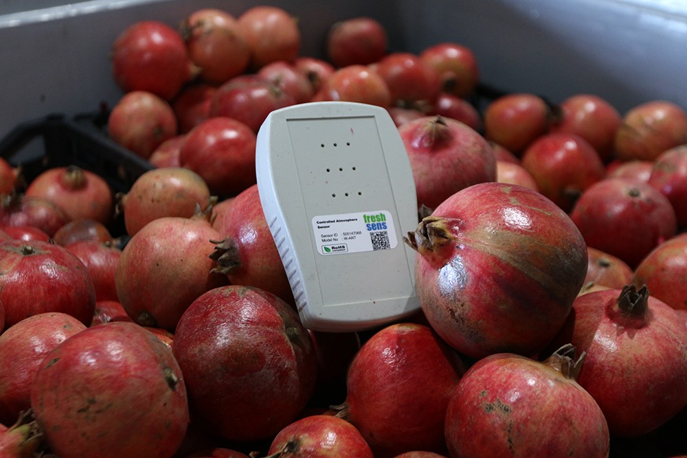 Bu ürün meyve, sebze ve çiçekleri uyutup raf ömrünü uzatıyor