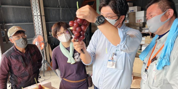 Bu üzümün fiyatını duyunca şok geçireceksiniz!