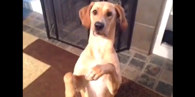 Bu vurulma sahnesi bir başka... - VIDEO