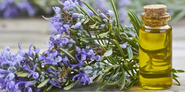 Bu yağları kullanan kel kalmıyor! Saç dökülmesine iyi gelen maskeler