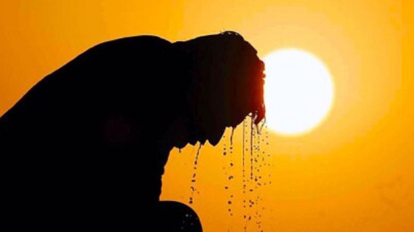 Bu yaz vakalar arttı! Afrika sıcakları bu hastalığı tetikledi