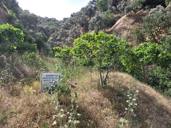 Bu yazı görenlerin içini ısıttı