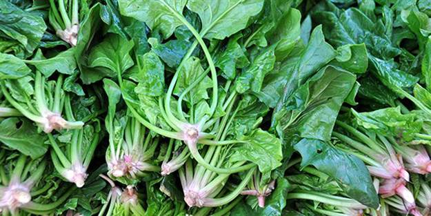  Bu yeşil vitaminin faydasına inanamayacaksınız?