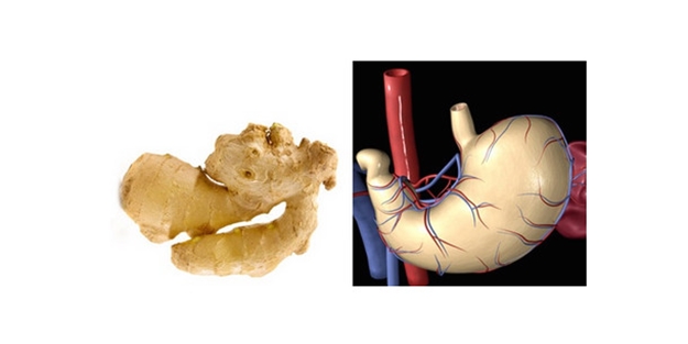 Bu yiyecekler benzedikleri organa iyi geliyor! - FOTO