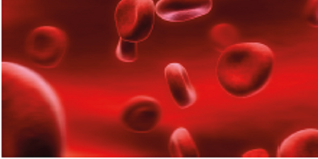 Bu yiyecekler kan yapıyor