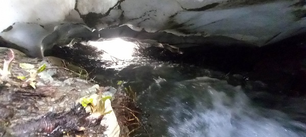 Bu yol buz mağaralarını andırıyor