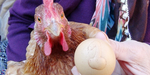 Bu yumurtanın üzerinde '1' yazıyor