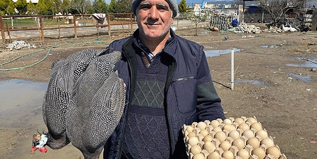 Bu yumurtanın peşine düştüler! Yere düşünce kırılmıyor