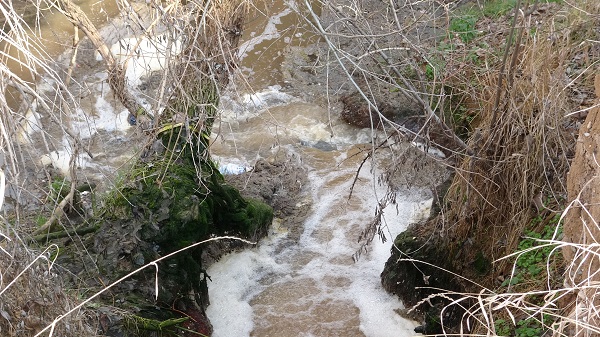 Bu yüzden ekinler kurudu! Köylüler isyan etti