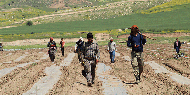 Bu yüzden Kılıçdaroğlu’nu destekliyorlardı HDP ve PKK’nın hoşuna gitmeyen haber