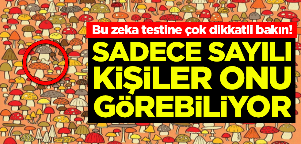 Bu zeka testine çok dikkatli bakın! Sadece sayılı kişiler onu görebiliyor