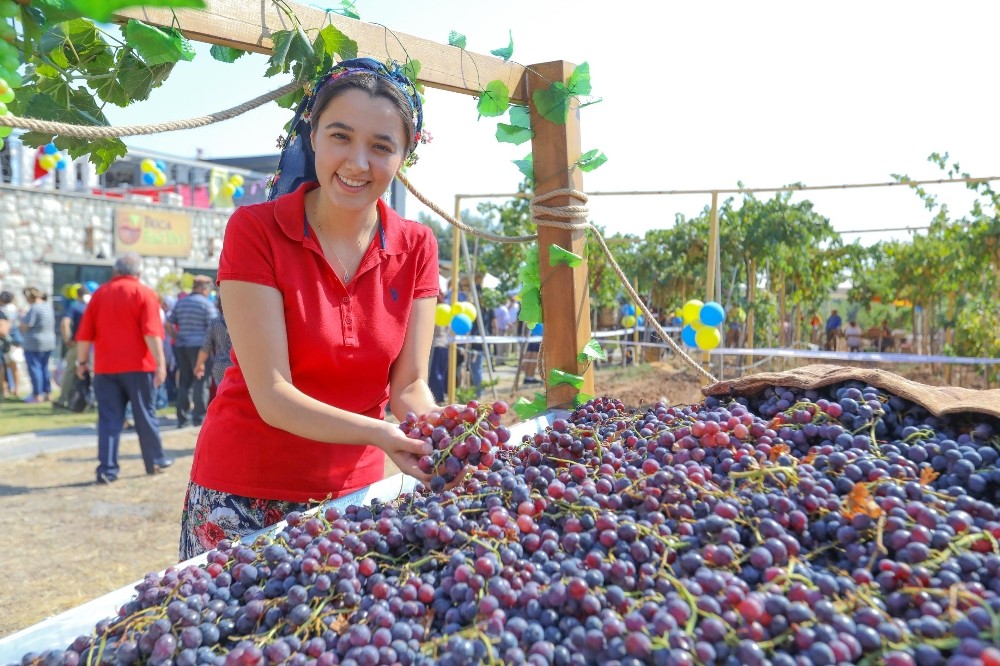 Buca’da 3’üncü bağ bozumu coşkusu 