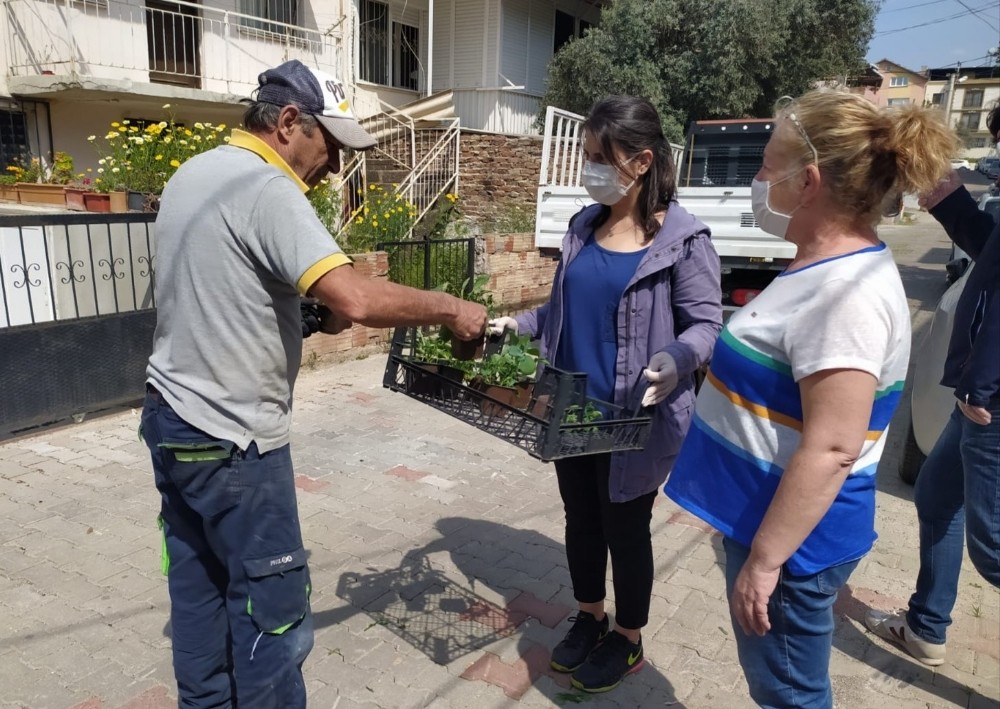 Buca’da balkon tarımı başladı: “Evde kal, evde üret” 