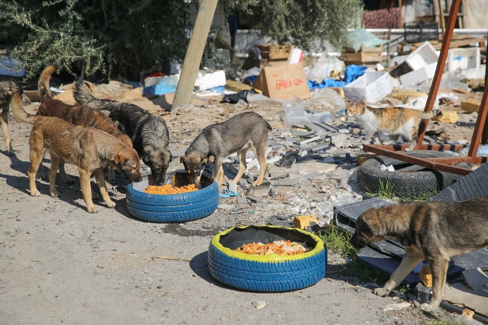 Buca’da mama kabı seferberliği 