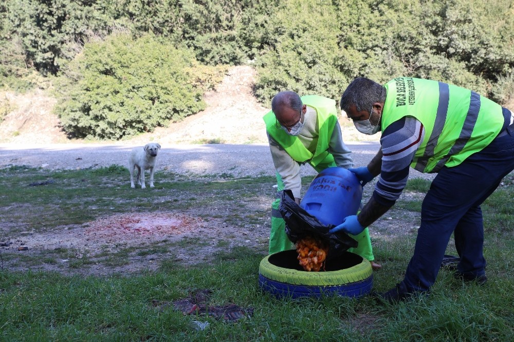 Buca’da sokak hayvanlarına bayramda mama desteği 