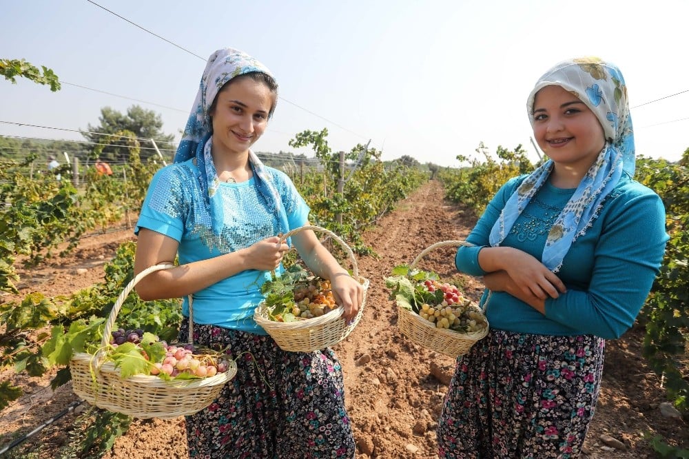 Buca’da üzüm şenliği heyecanı 