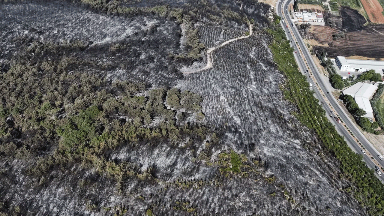 Buca’daki orman yangınının bilançosu havadan kaydedildi! Yürek burkan görüntüler