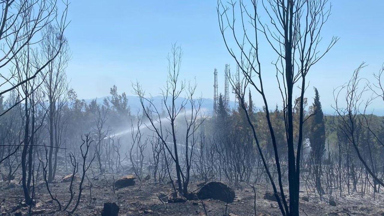 Buca'dan güzel haber