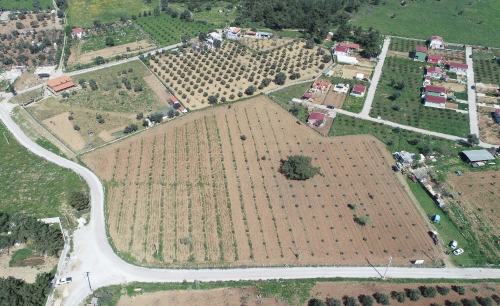 Buca’nın tüm arazileri tarımsal üretime açılıyor 