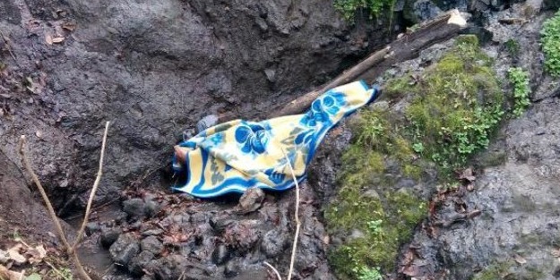 Budadığı ağaç kırılınca düşerek öldü