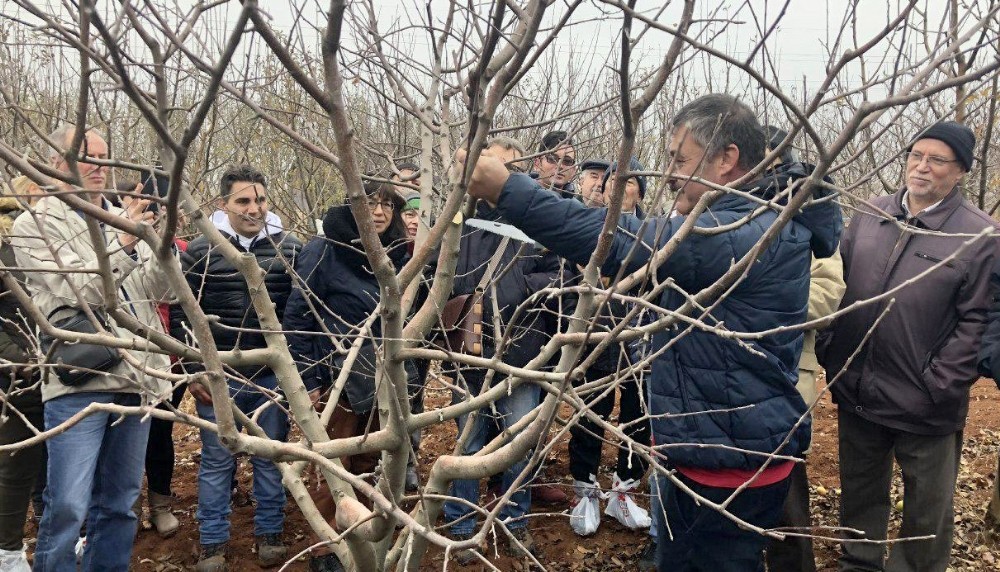 Budama eğitimi için kayıtlar başladı 