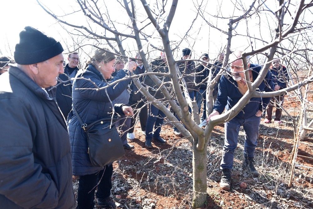 Budama eğitimini teoriden pratiğe döktüler 