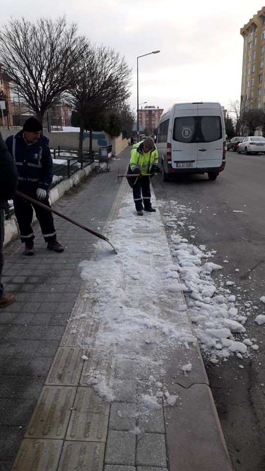 Budama ve kar temizliği çalışmaları 