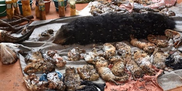 Budist tapınağında kan donduran görüntü!