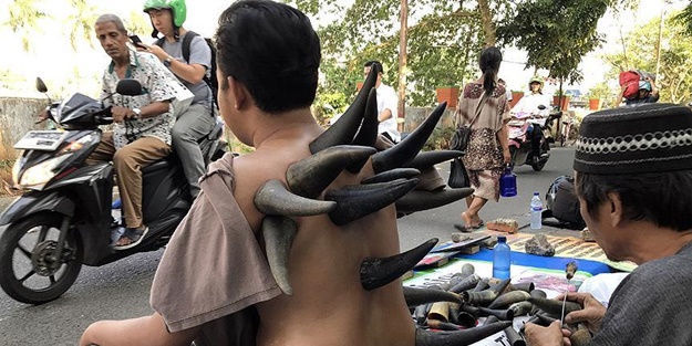  'Bufalo boynuzu'yla tedavi!